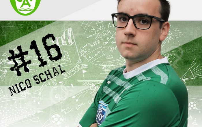 Nico Schal